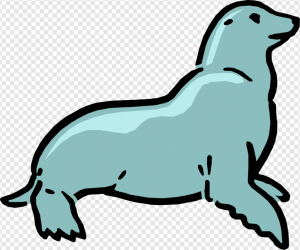 Harbor Seal PNG Transparent Images Download