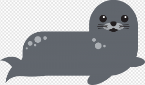 Harbor Seal PNG Transparent Images Download