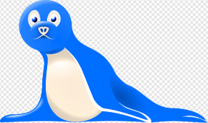 Harbor Seal PNG Transparent Images Download