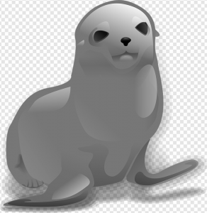 Harbor Seal PNG Transparent Images Download