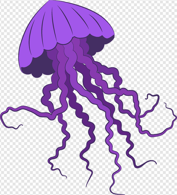 Jellyfish PNG Transparent Images Download - PNG Packs