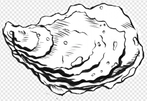 Pacific Oyster PNG Transparent Images Download