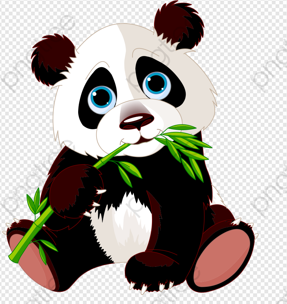 Panda Bear PNG Transparent Images Download - PNG Packs
