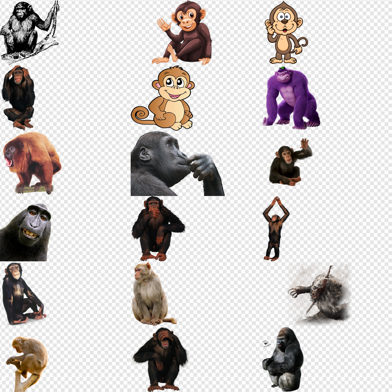 Ape PNG Transparent Images Download - PNG Packs