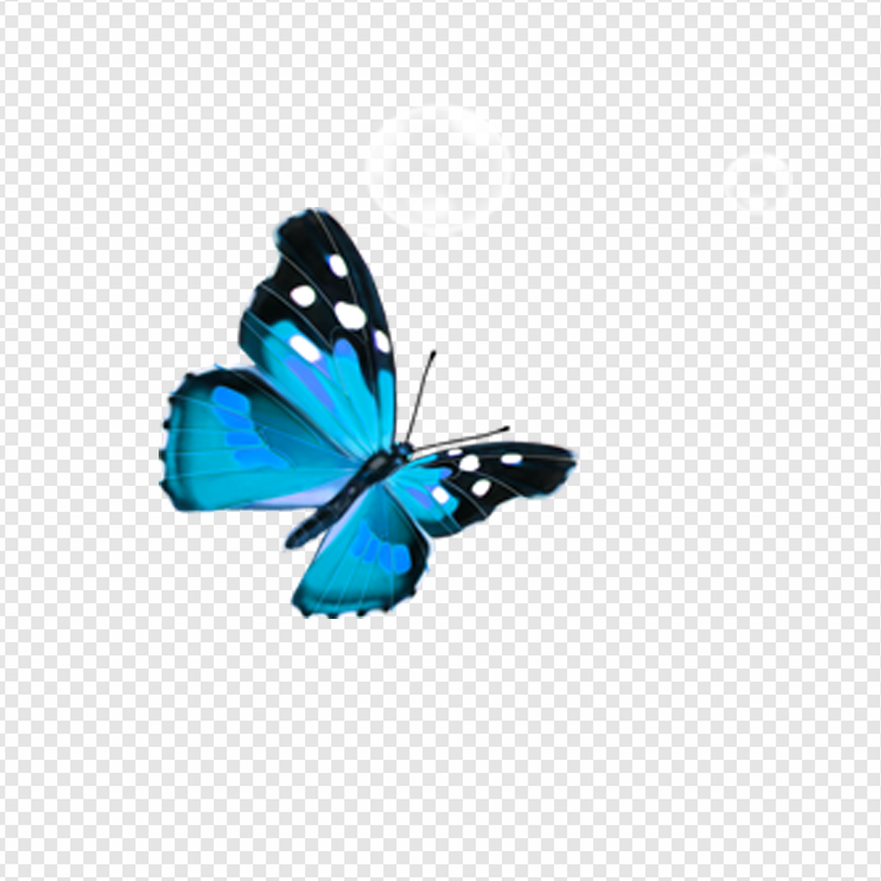 Blue Butterflies PNG Transparent Images Download - PNG Packs