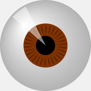 Brown Eye PNG Transparent Images Download