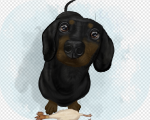 Dachshund PNG Transparent Images Download