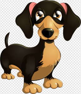 Dachshund PNG Transparent Images Download