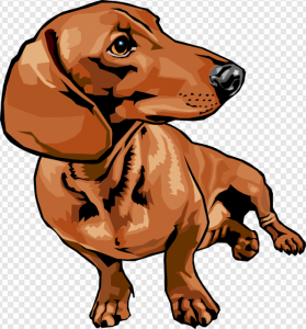 Dachshund PNG Transparent Images Download