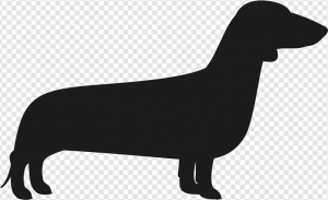 Dachshund PNG Transparent Images Download