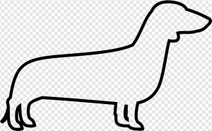 Dachshund PNG Transparent Images Download