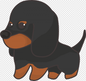 Dachshund PNG Transparent Images Download