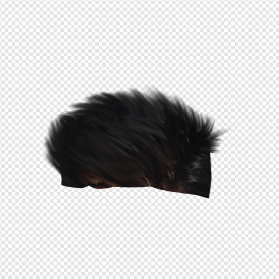 Hair PNG 12 | PNG All